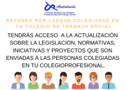 RAZÓN Nº 12 PARA COLEGIARTE