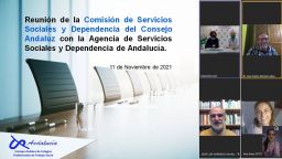 Reunión de la Comisión de Servicios Sociales y Dependencia con la Agencia de Servicios Sociales y Dependencia de Andalucía