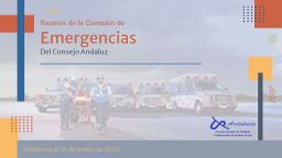 Reunión de la Comisión de Emergencias del Consejo Andaluz