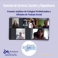 Reunión de la Comisión de Servicios Sociales y Dependencia del Consejo Andaluz