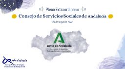 Asistimos al Pleno Extraordinario del Consejo de Servicios Sociales de Andalucía