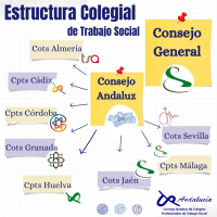 Estructura Colegial de Trabajo Social