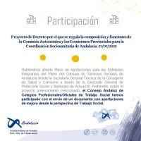 Participación en el Proyecto de Decreto por el que se regula la Comisión Autonómica y las Comisiones Provinciales para la Coordinación Sociosanitaria de Andalucía. 