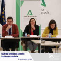 Sesión Ordinaria del Pleno del Consejo de los Servicios Sociales de Andalucía 