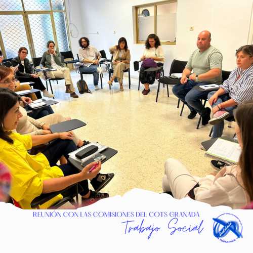 Reunión con las Comisiones del Colegio Oficial de Trabajo Social de Granada