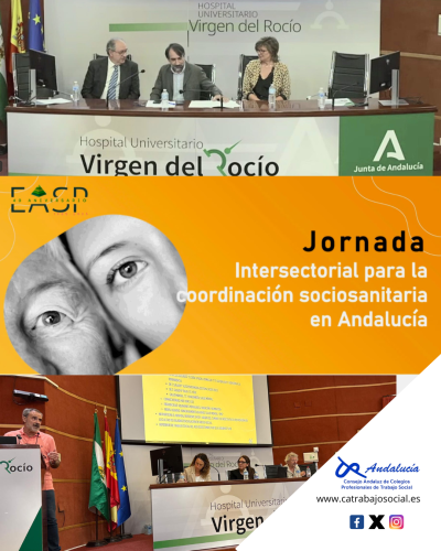El Consejo Andaluz de Trabajo Social presente a las I Jornadas Intersectoriales para la Coordinación Sociosanitaria en Andalucía