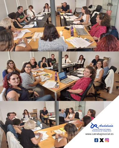 Celebrada la Asamblea Extraordinaria del Consejo Andaluz de Colegios Profesionales y Oficiales de Trabajo Social